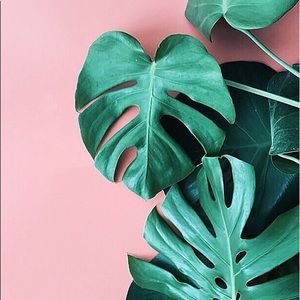 Meet your Posher, Christiane